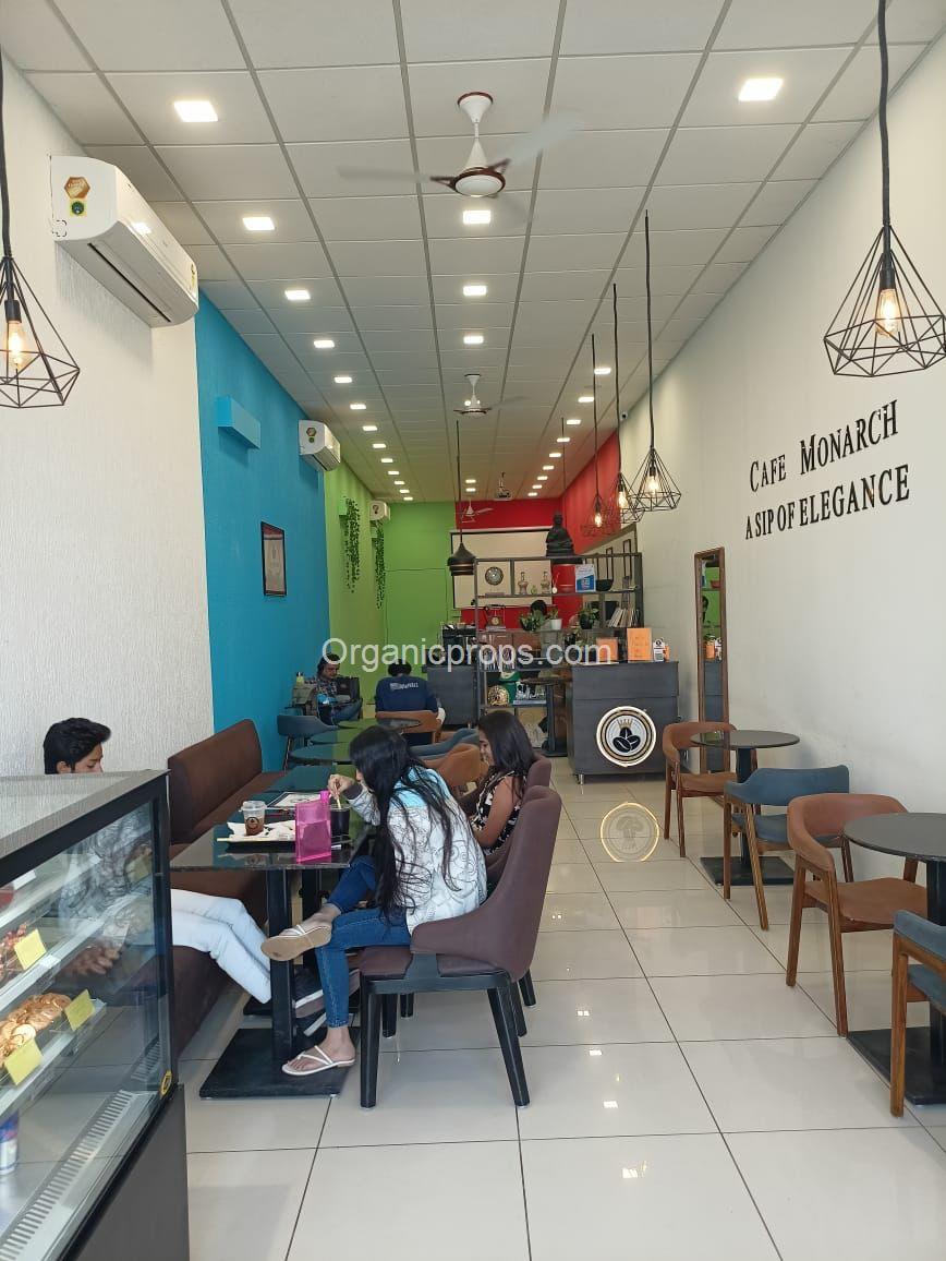 WhatsApp Image 2023-09-19 at 620230919190050069.jpeg